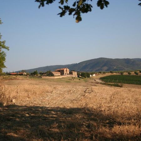 Agriturismo Podere Del Vescovo Montenero d'Orcia ภายนอก รูปภาพ