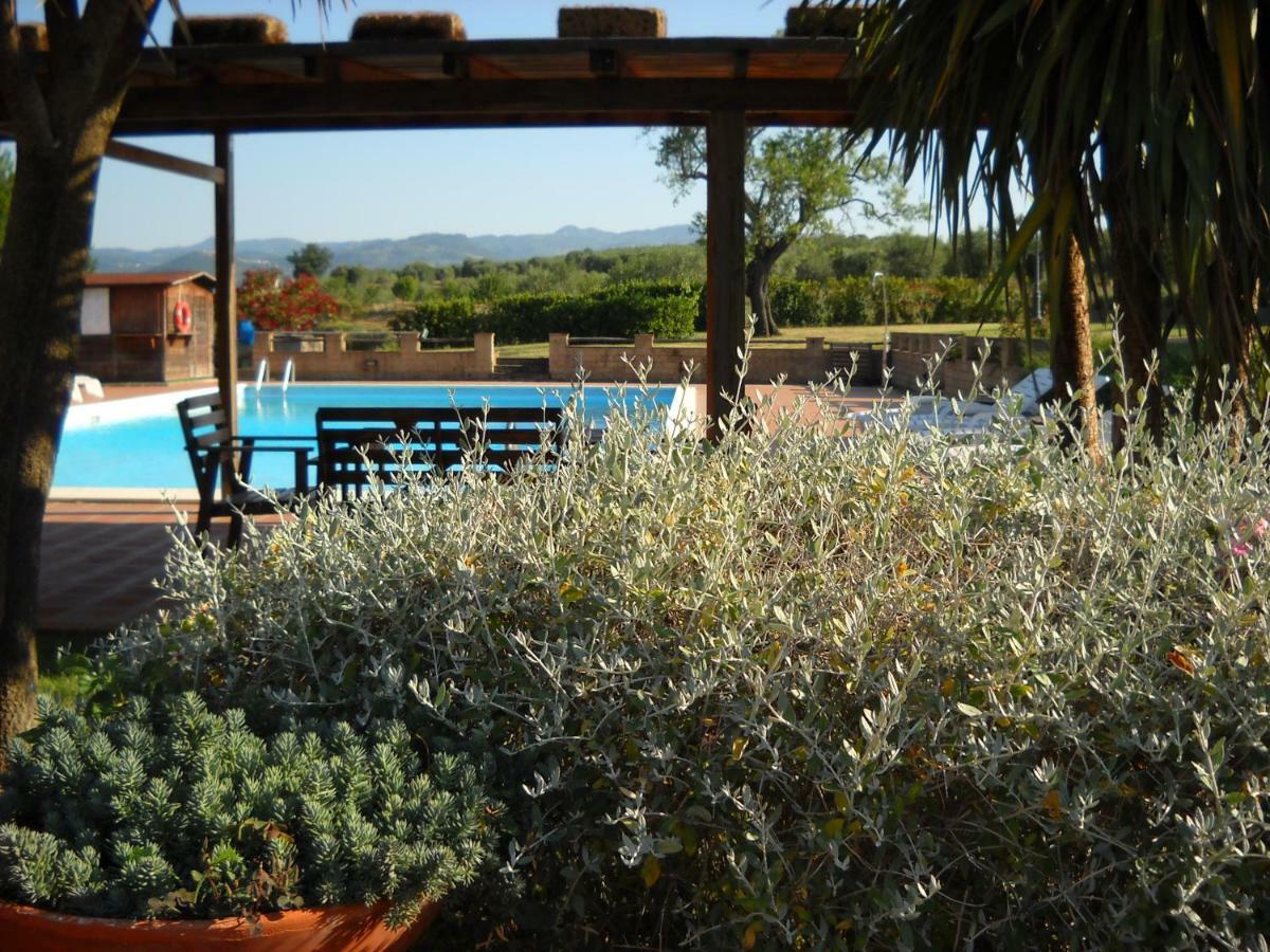 Agriturismo Podere Del Vescovo Montenero d'Orcia ภายนอก รูปภาพ