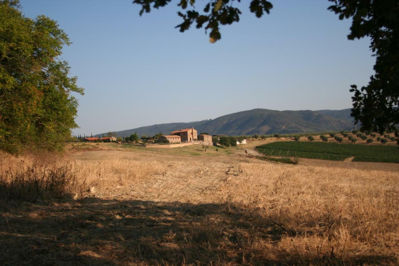 Agriturismo Podere Del Vescovo Montenero d'Orcia ภายนอก รูปภาพ