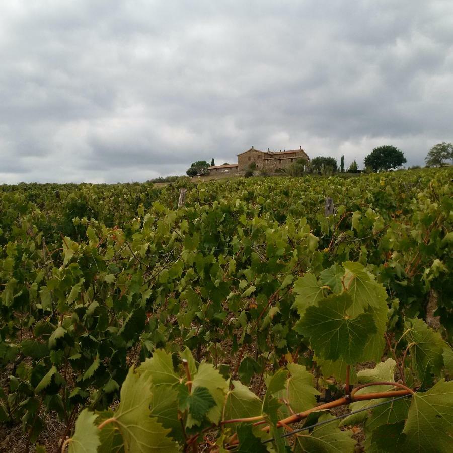 Agriturismo Podere Del Vescovo Montenero d'Orcia ภายนอก รูปภาพ