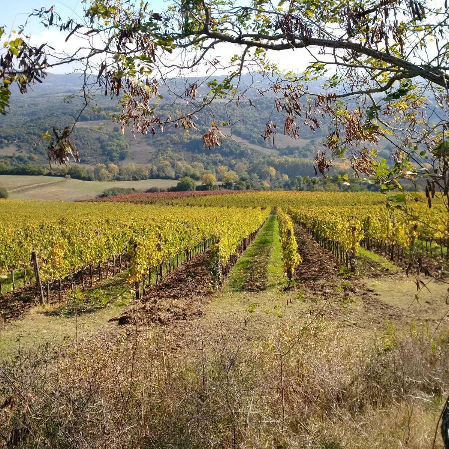 Agriturismo Podere Del Vescovo Montenero d'Orcia ภายนอก รูปภาพ