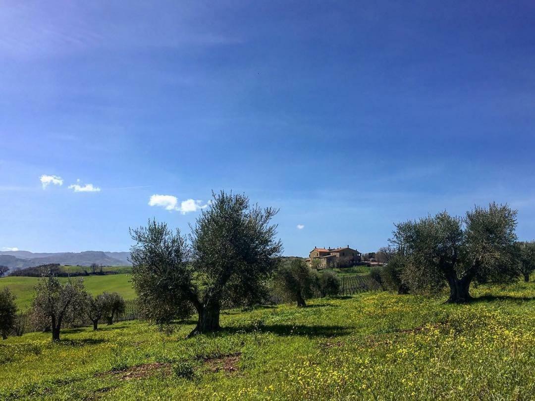 Agriturismo Podere Del Vescovo Montenero d'Orcia ภายนอก รูปภาพ